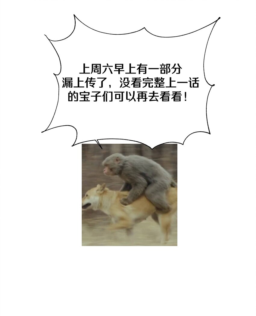 048 你有完没完47