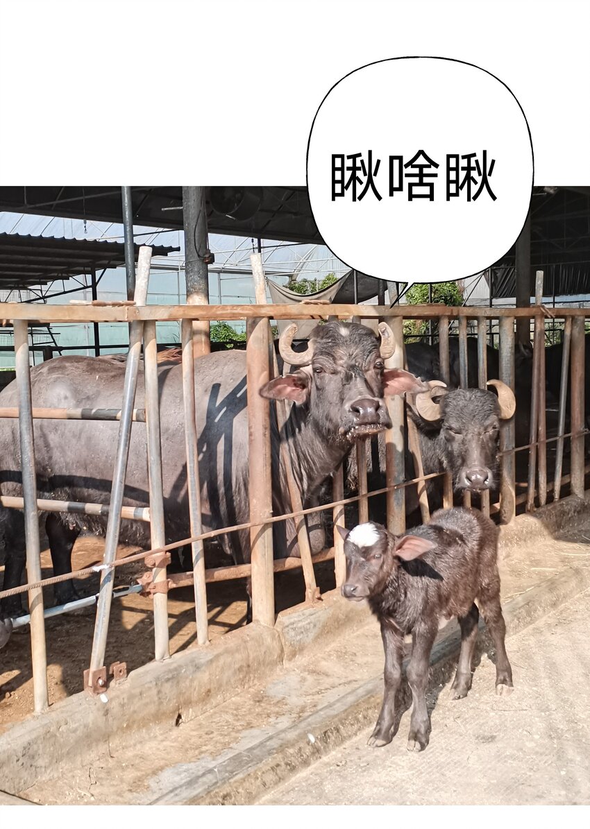 小番外 圣诞节20
