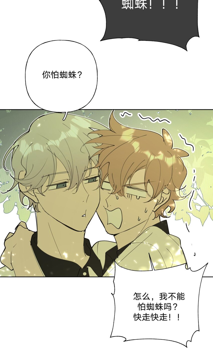 小番外 蜘蛛7
