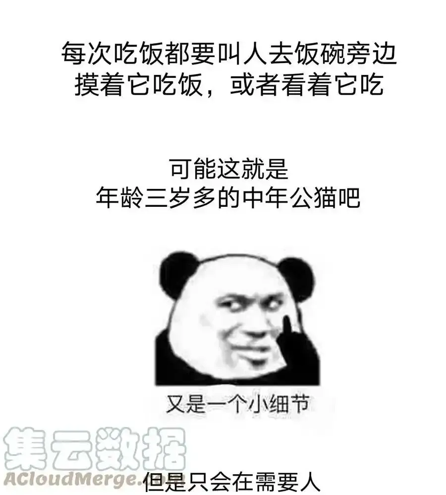 猫猫 请假条7