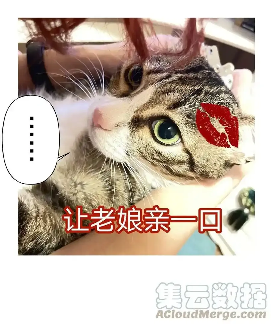 猫猫 请假条10