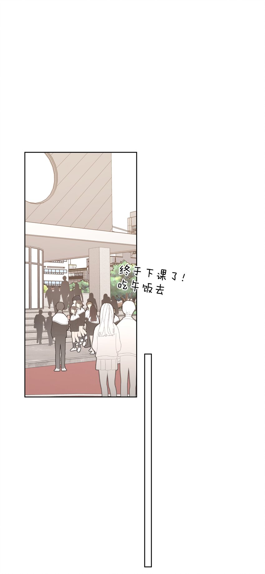 008 两只流浪猫27