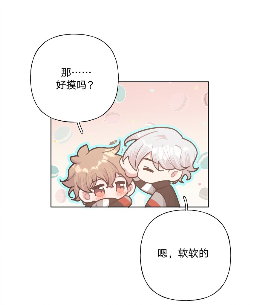 050 这张照片是怎么回事12