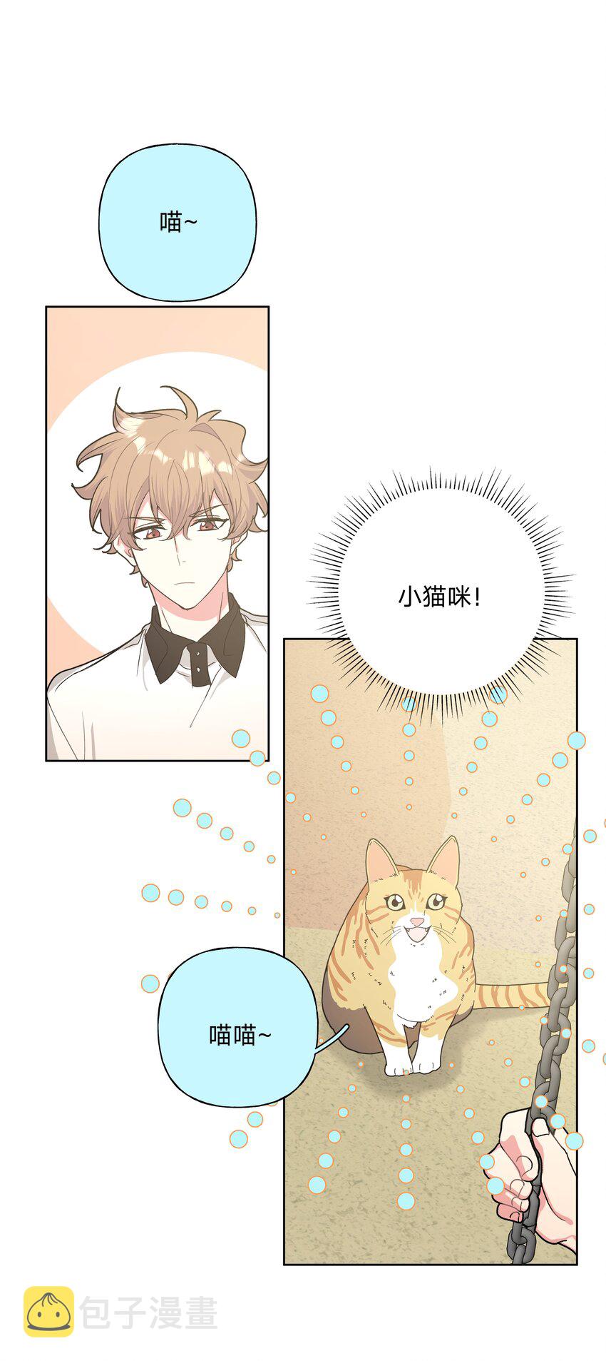 008 两只流浪猫36