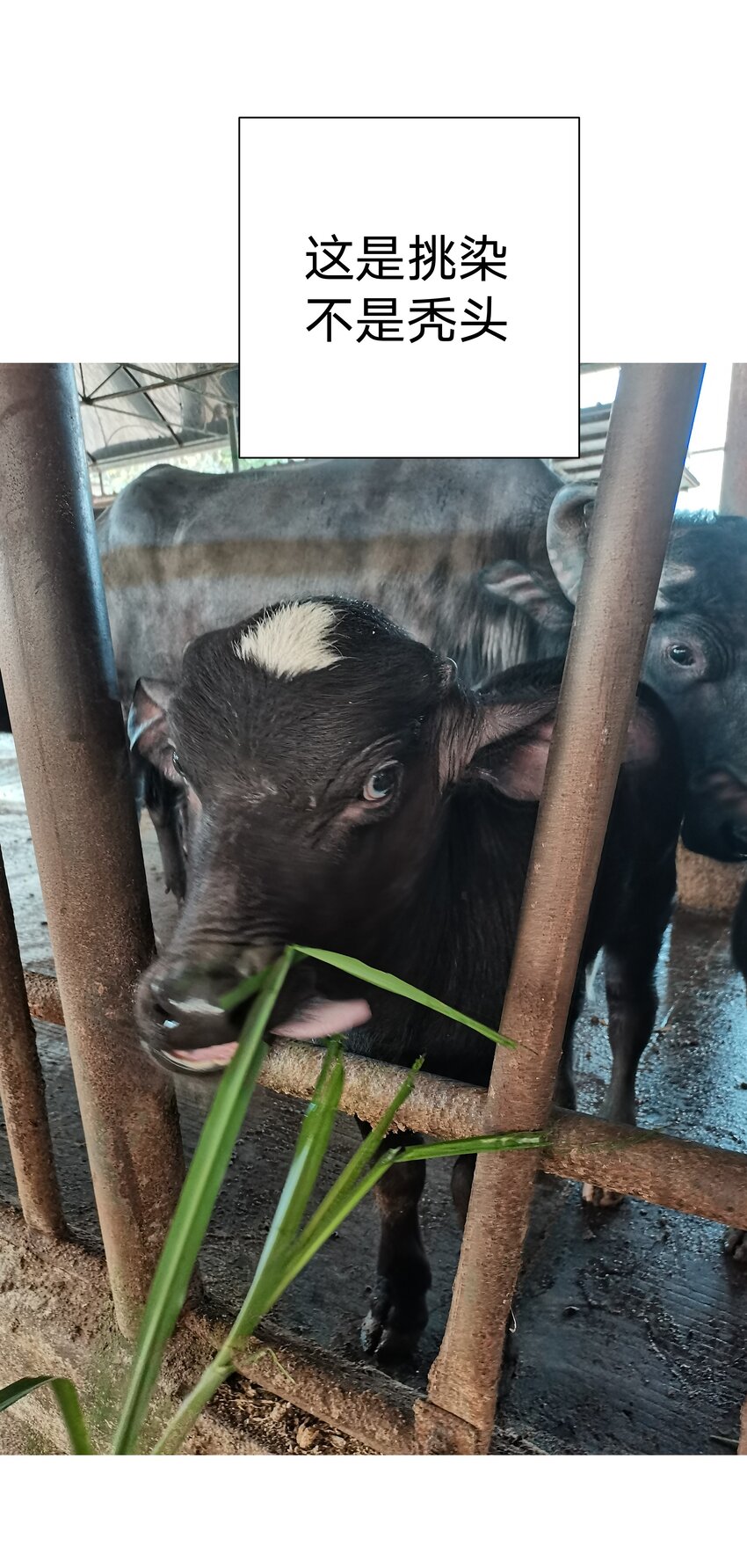 小番外 圣诞节23