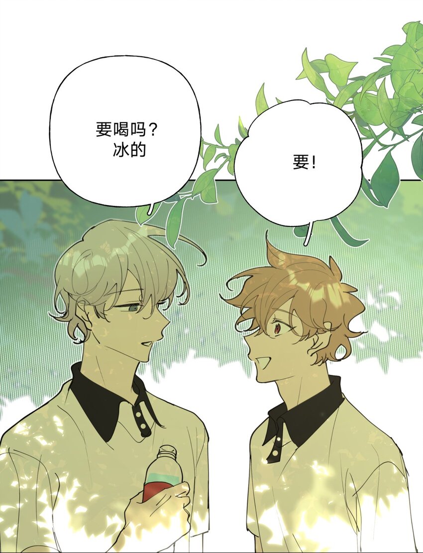 小番外 蜘蛛3