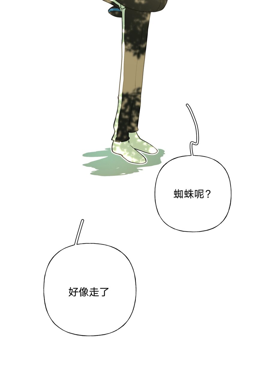 小番外 蜘蛛15