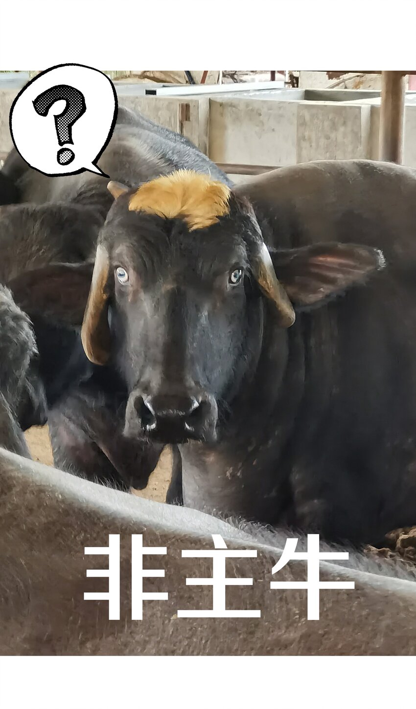 小番外 圣诞节24