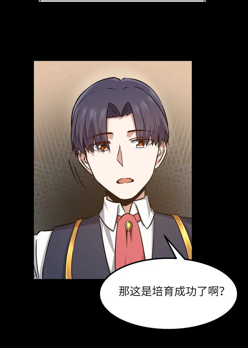 12 饲鳄公33