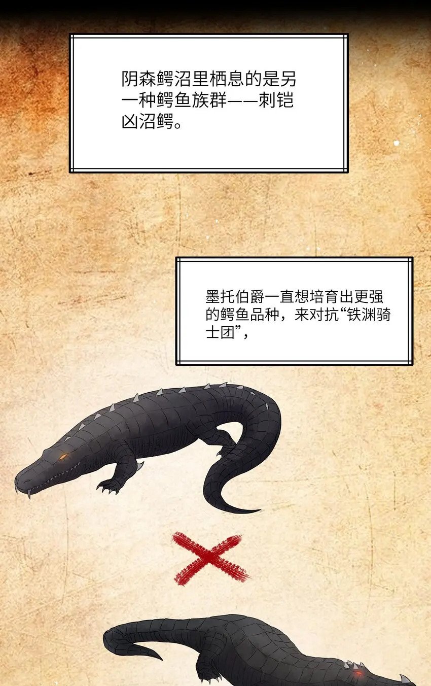12 饲鳄公31