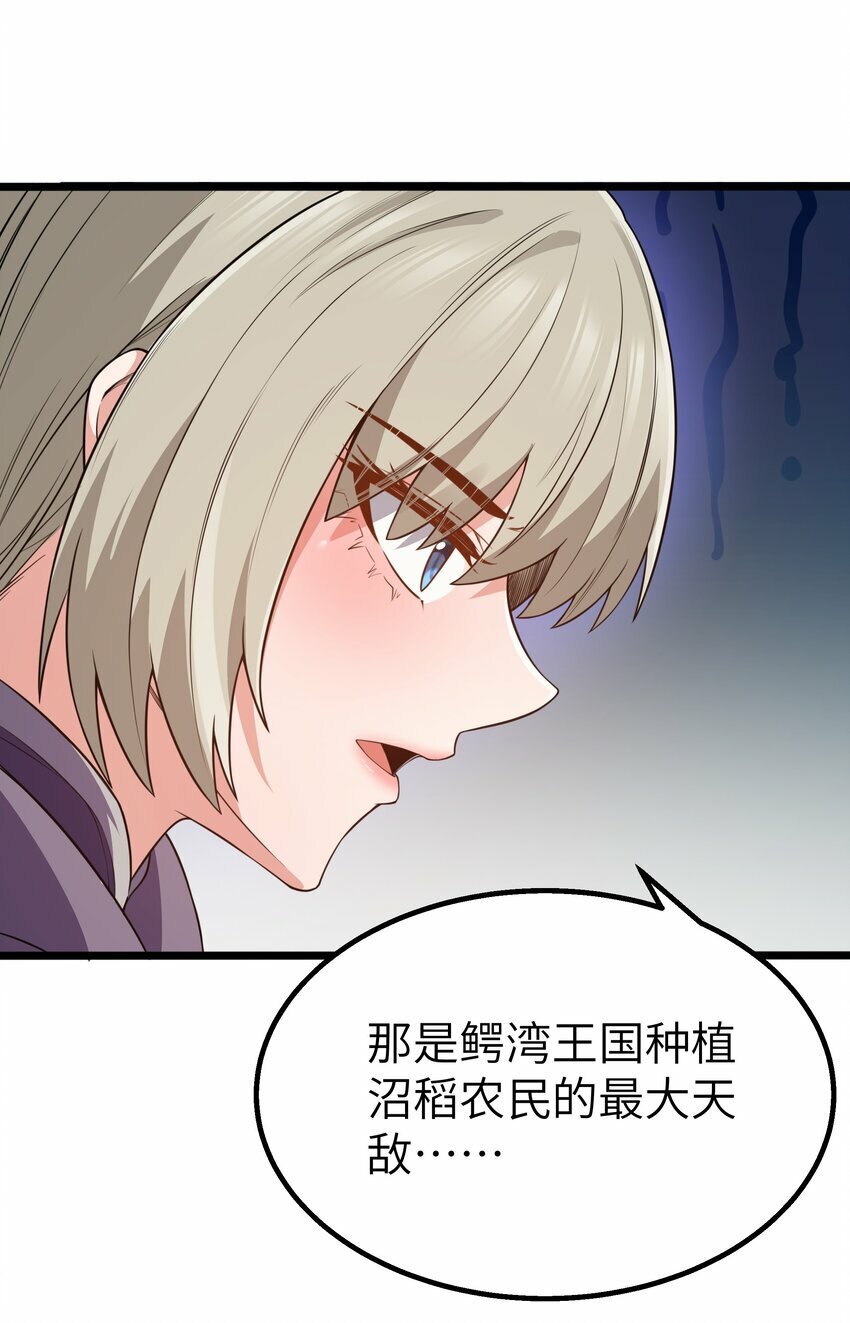 第22话 稻苞粘蚜虫65