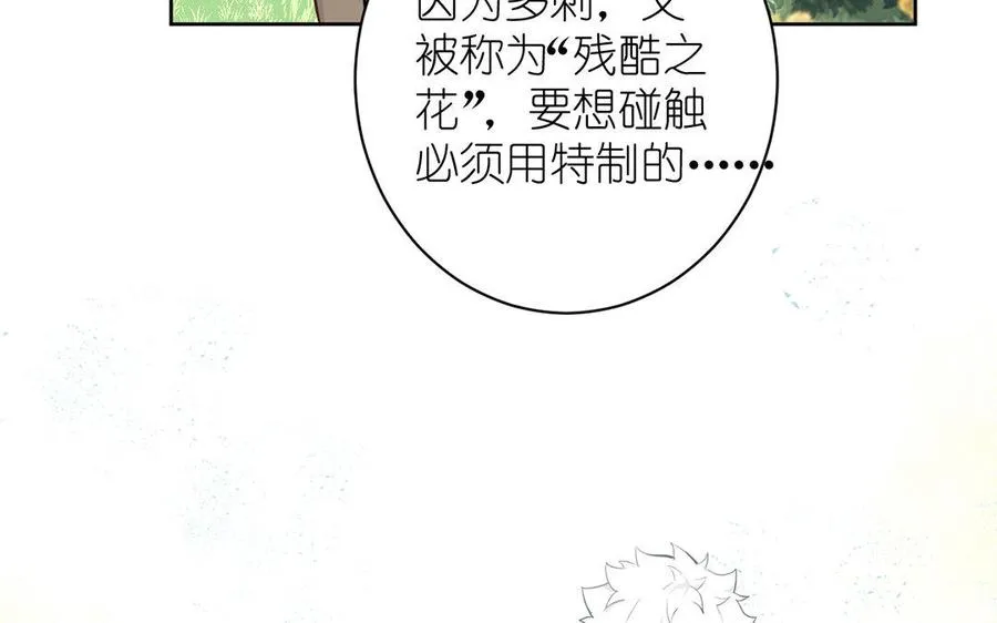 第8话 帝国的国花18