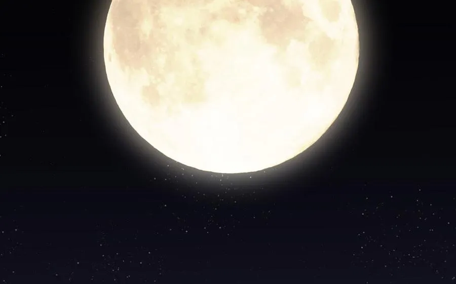 第135话 恋爱滋味157