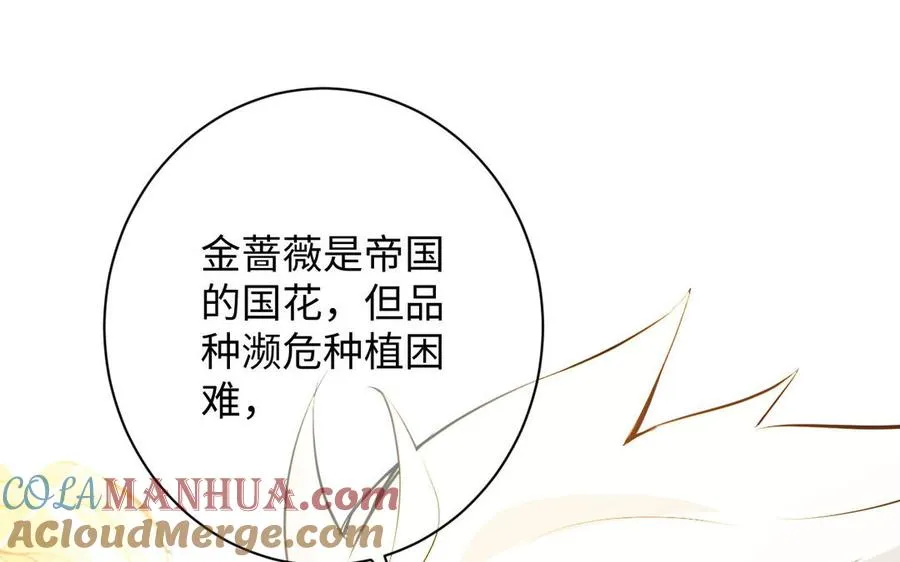 番外3 另一个王子18