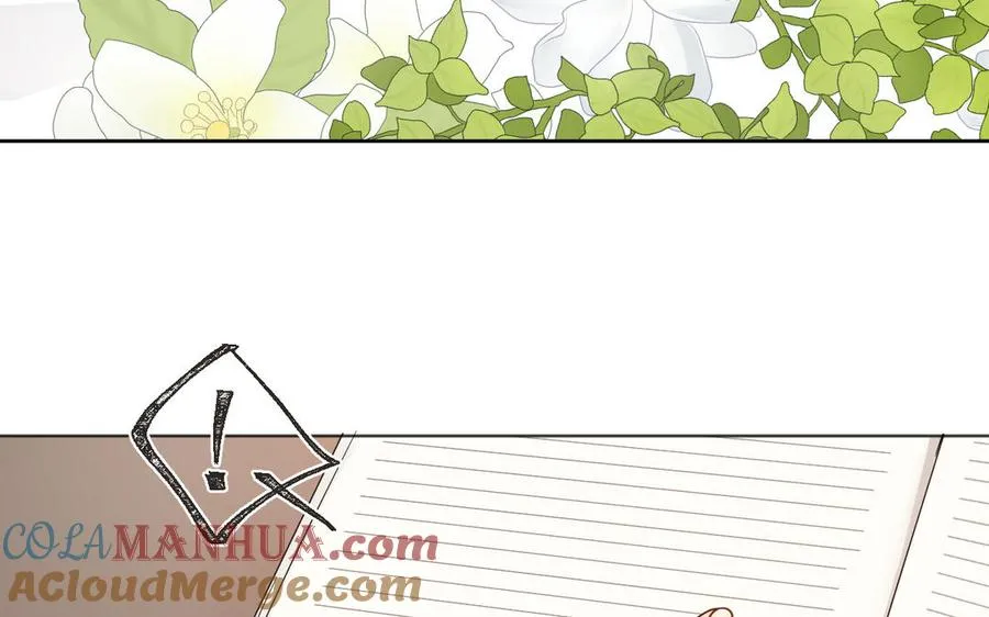第146话：骑士的背后16
