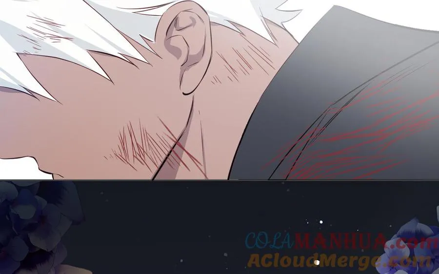第143话 灿烂132