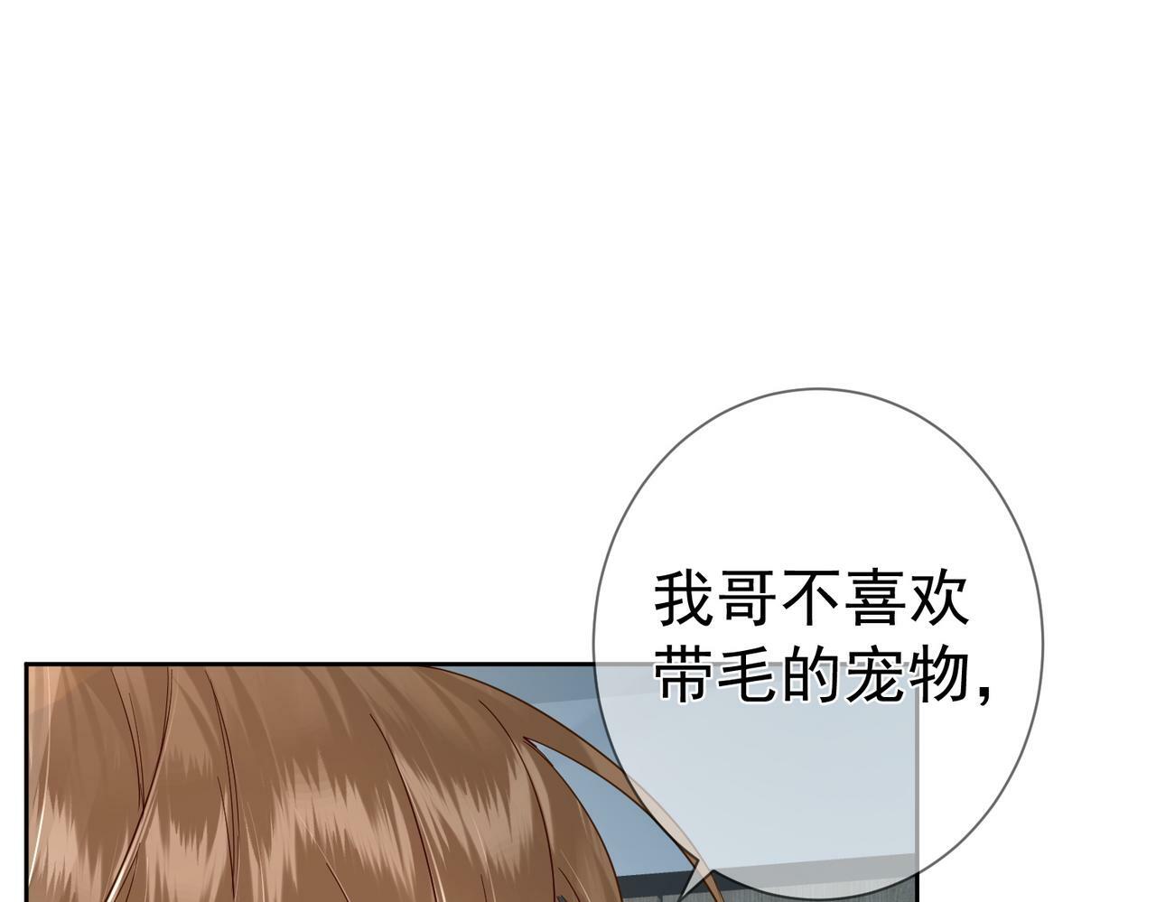 第46话：豹纹猫耳12