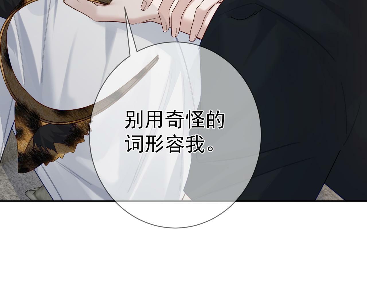 第51话：最开心的生日29