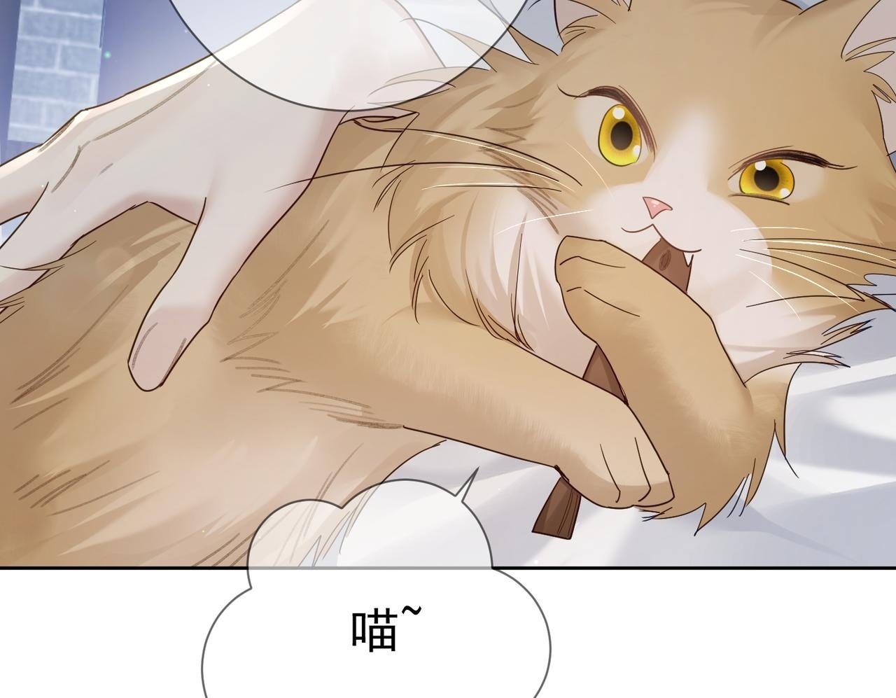 第63话：选秀49