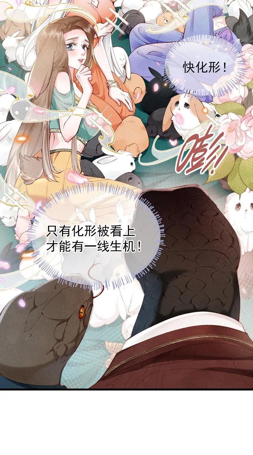 01 蛇兔一窝12