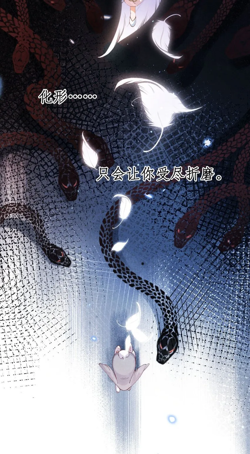01 蛇兔一窝4