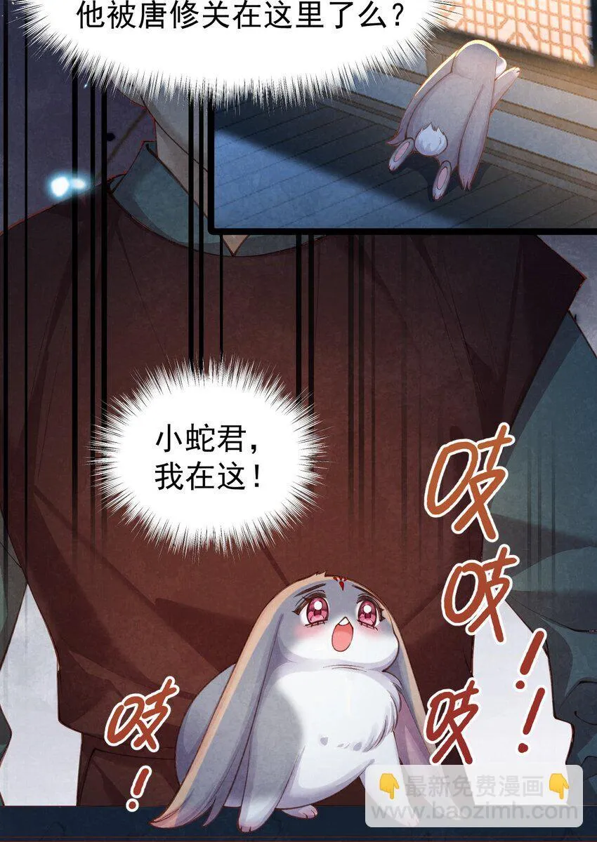 06 贪吃好色之兔34