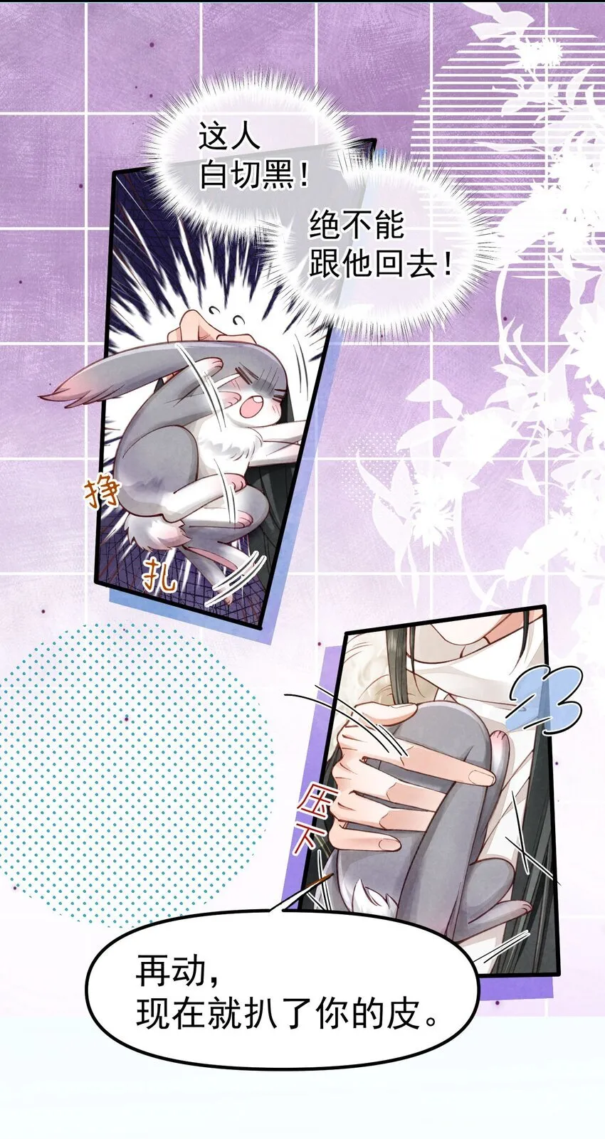 01 蛇兔一窝27