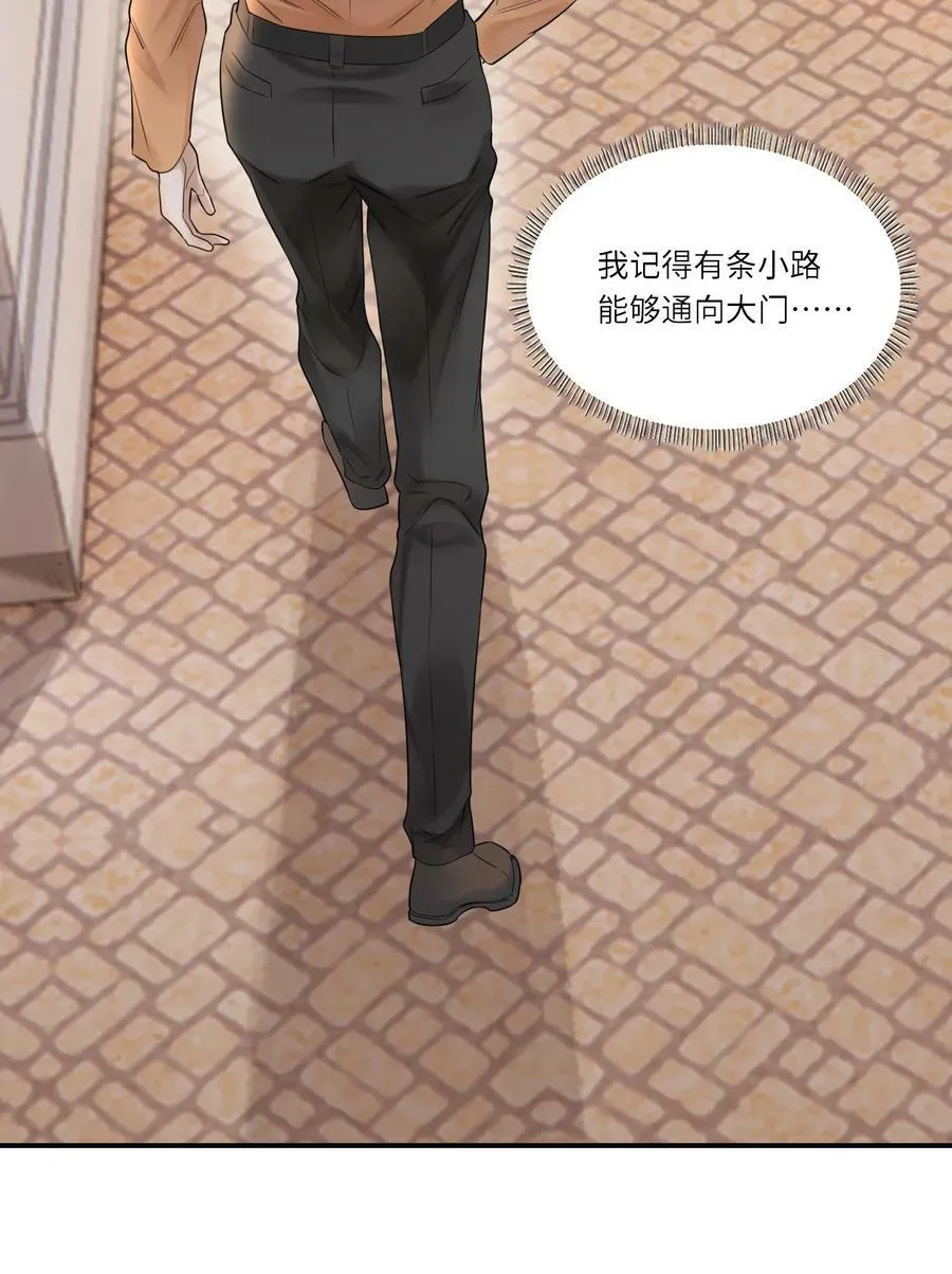 015 训犬31