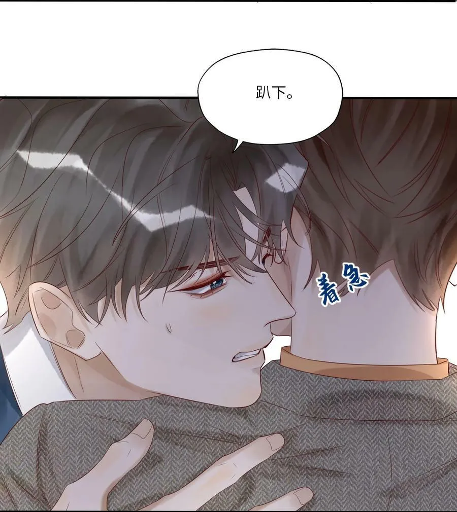 015 训犬3