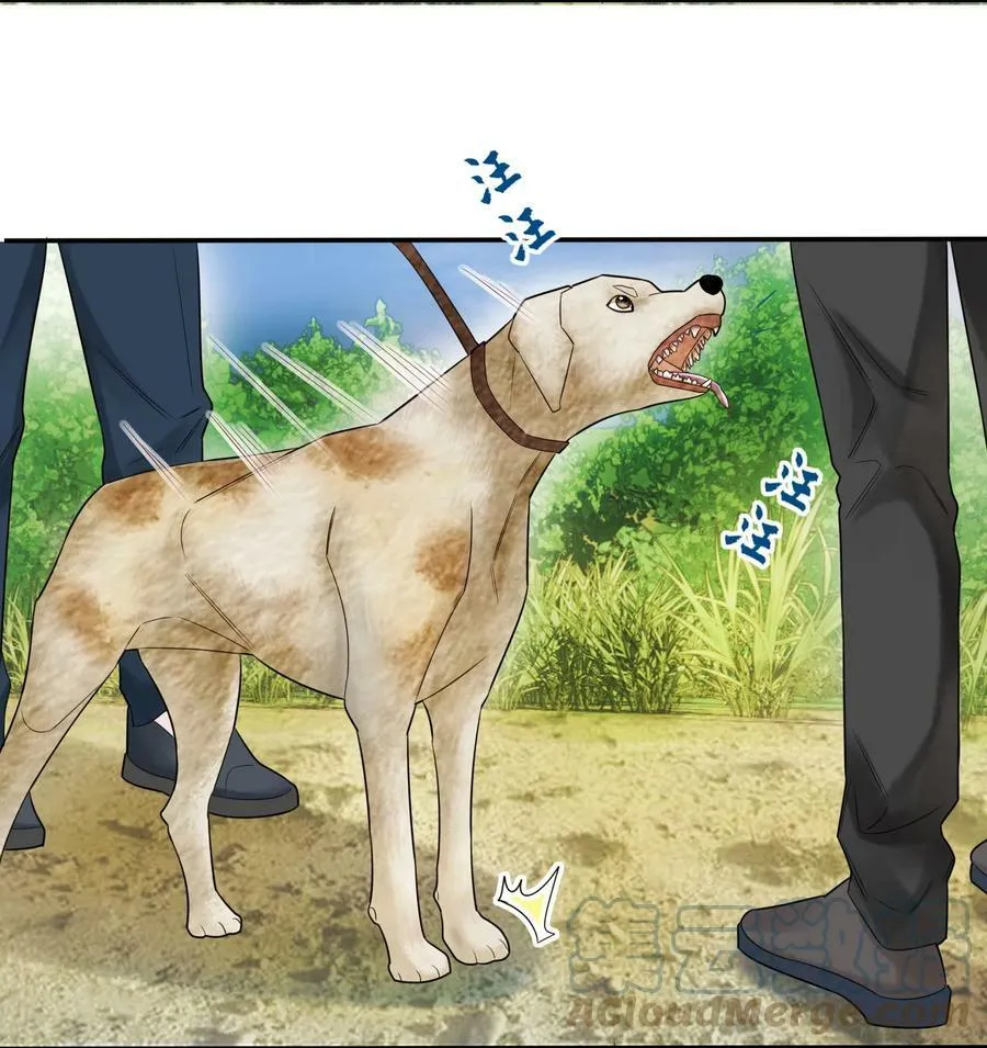 013 落雁滩12