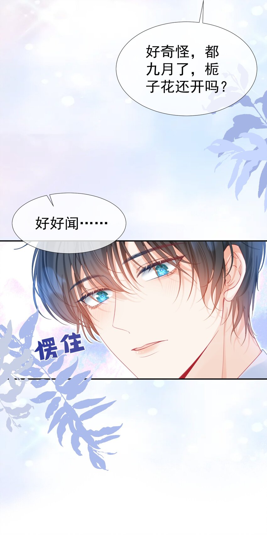 005 花皂与牛奶7