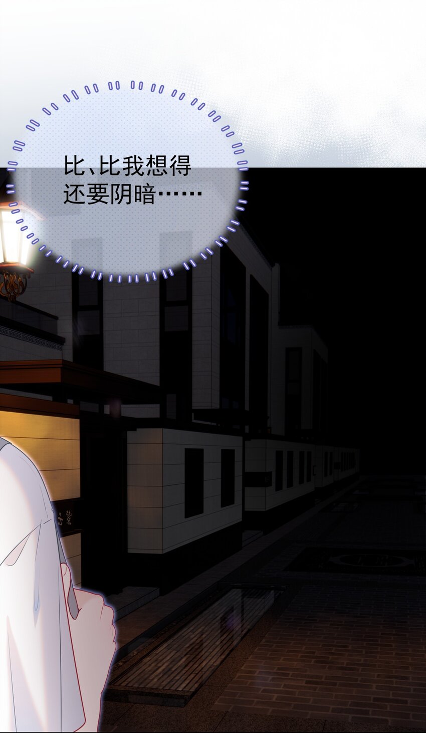 015 危险夜袭48