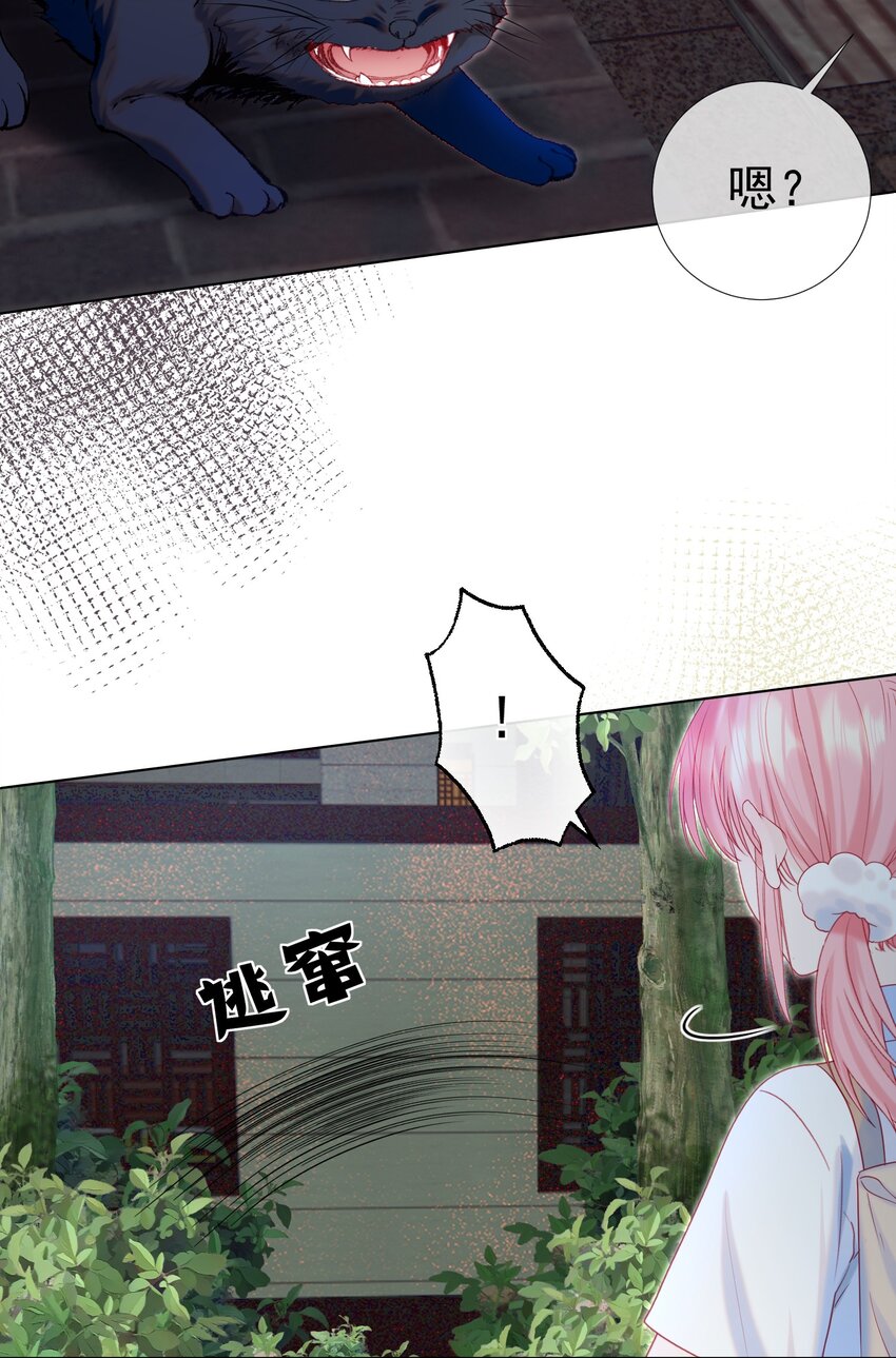 015 危险夜袭57