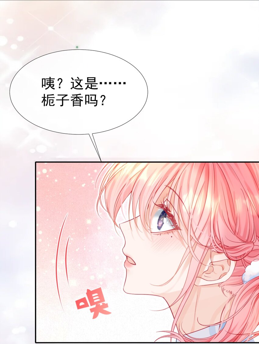 005 花皂与牛奶6