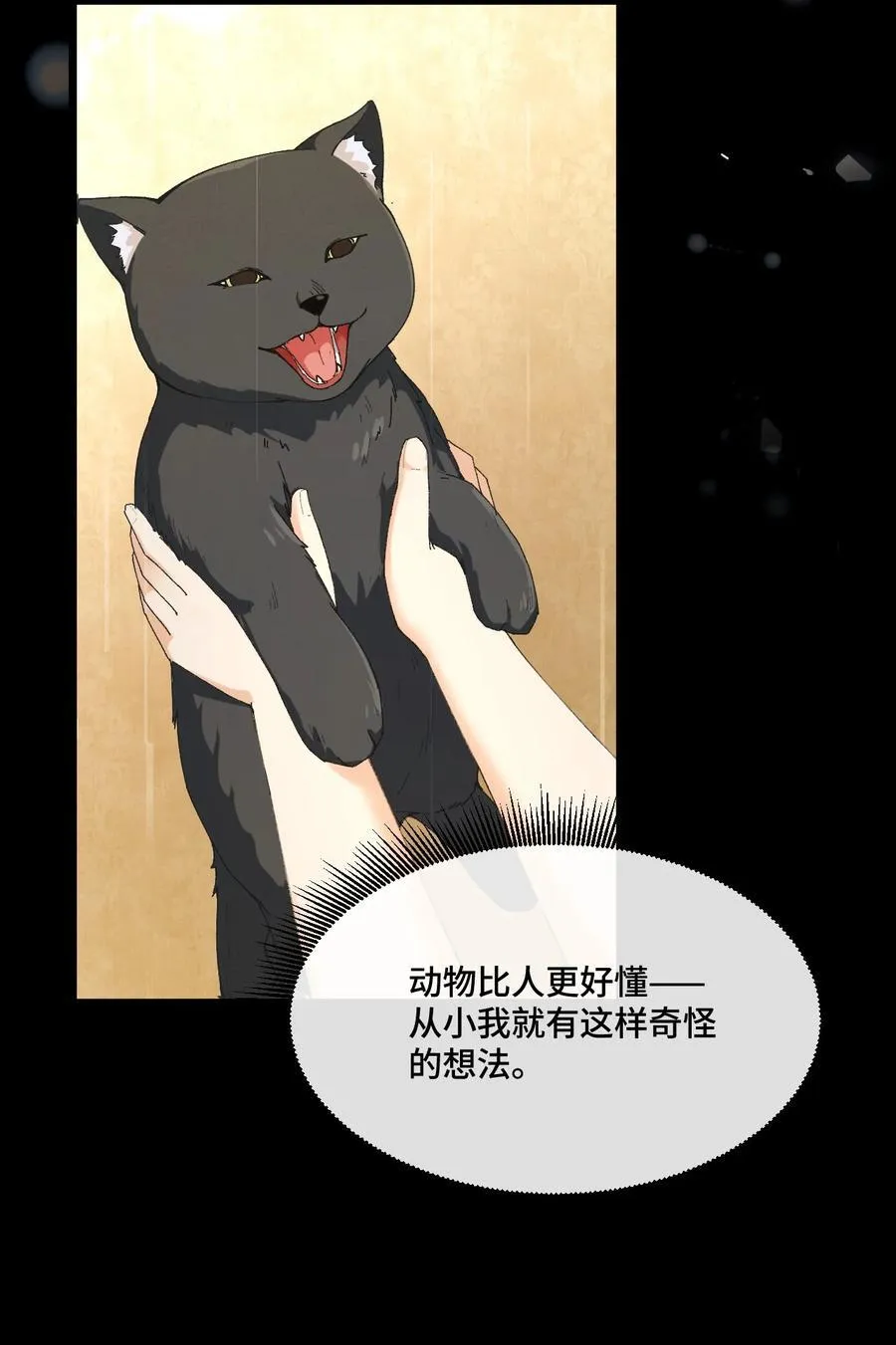 13 不愧是家里的第五只猫34