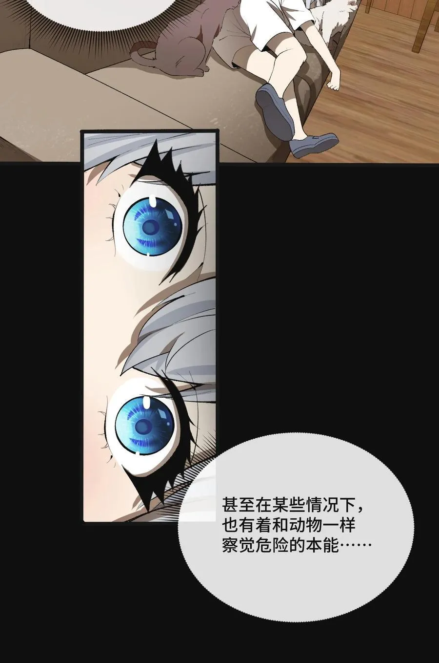 13 不愧是家里的第五只猫40