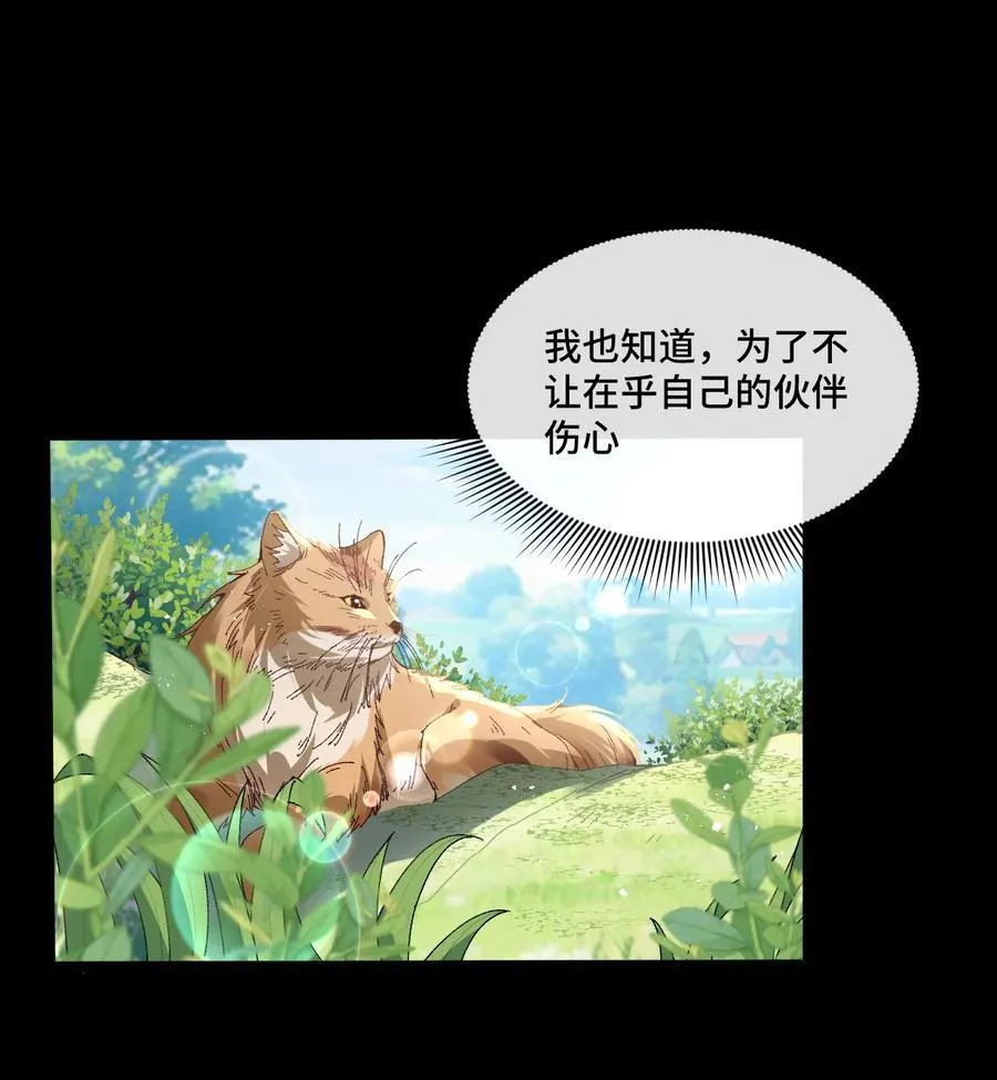 13 不愧是家里的第五只猫56