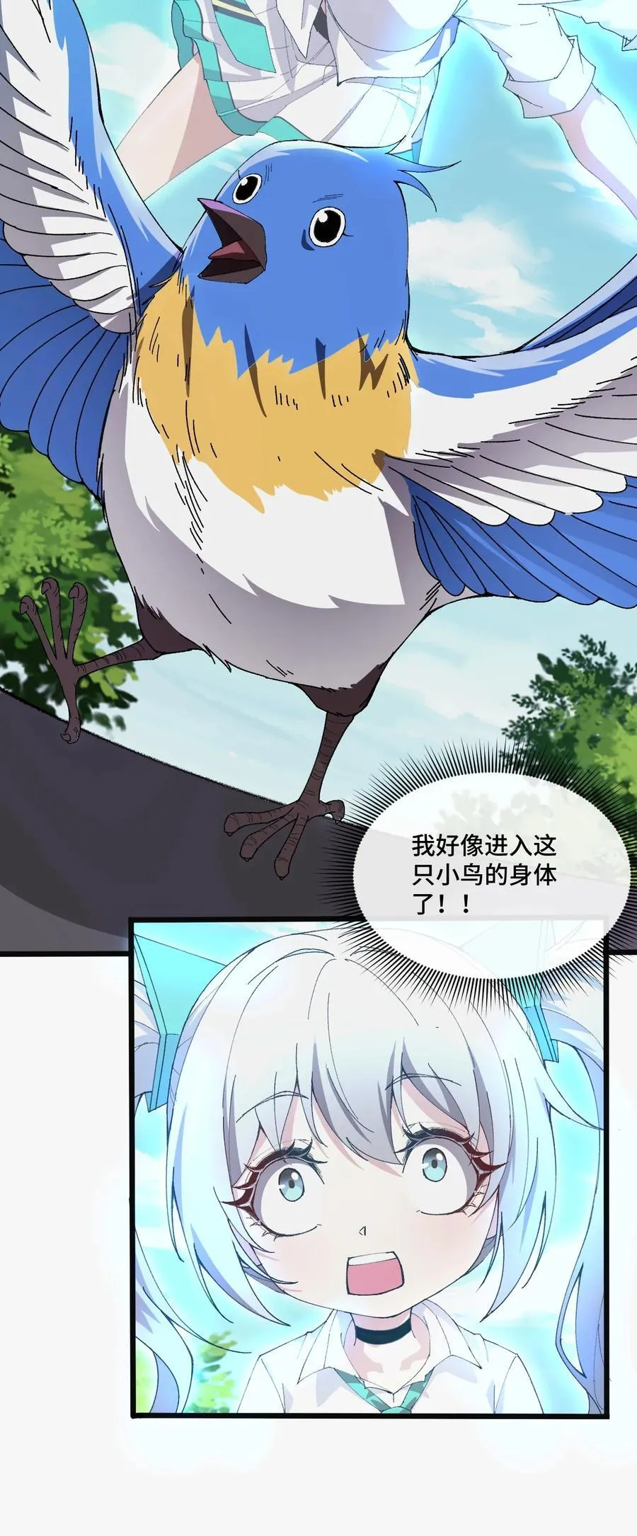 13 不愧是家里的第五只猫67