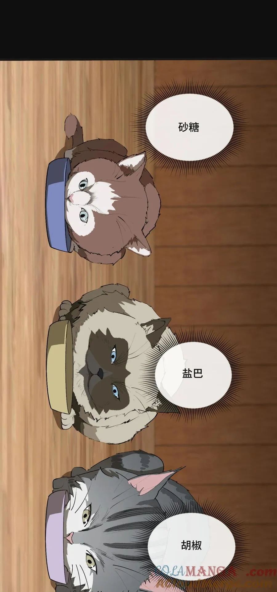 13 不愧是家里的第五只猫36