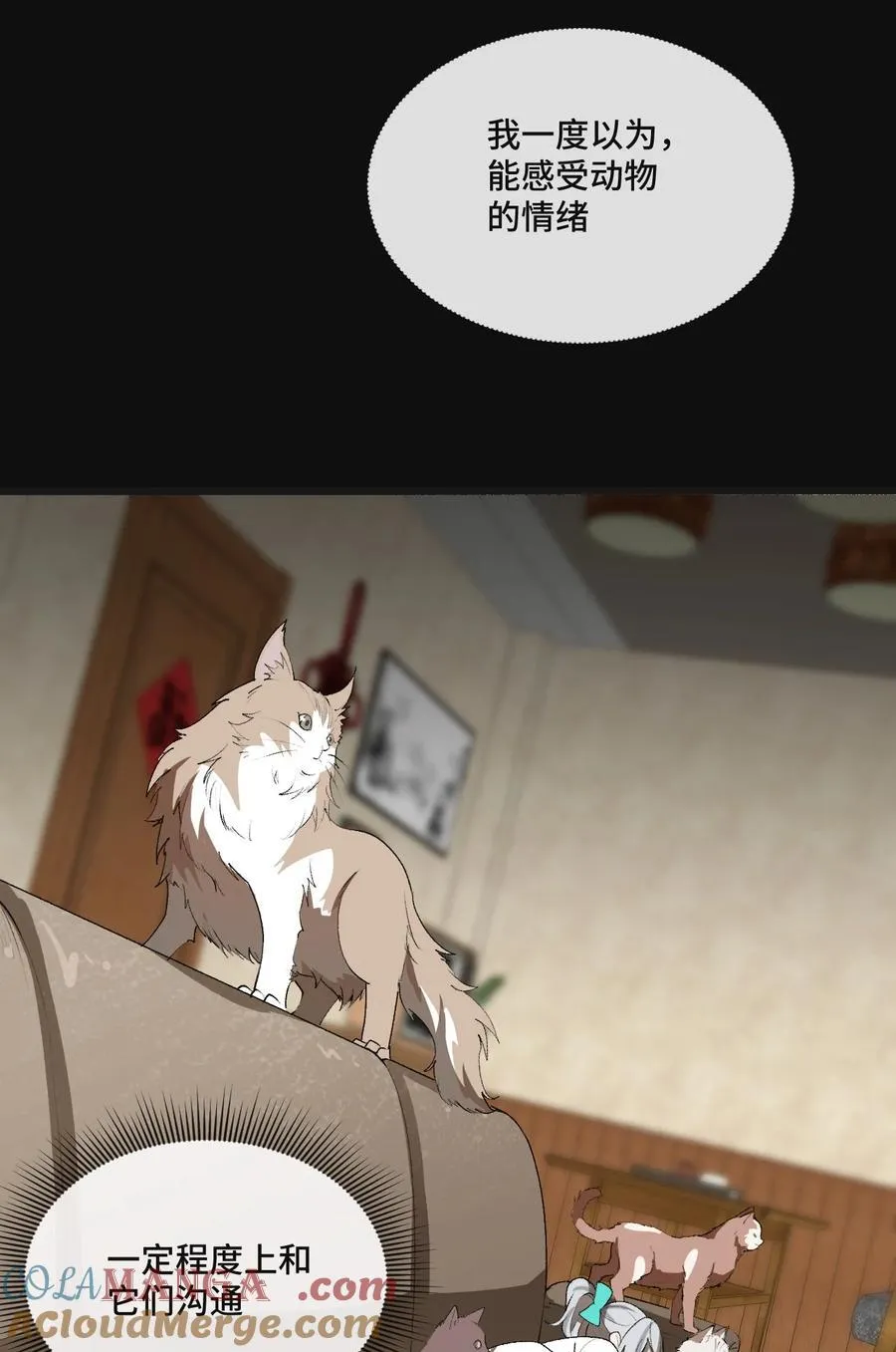 13 不愧是家里的第五只猫39