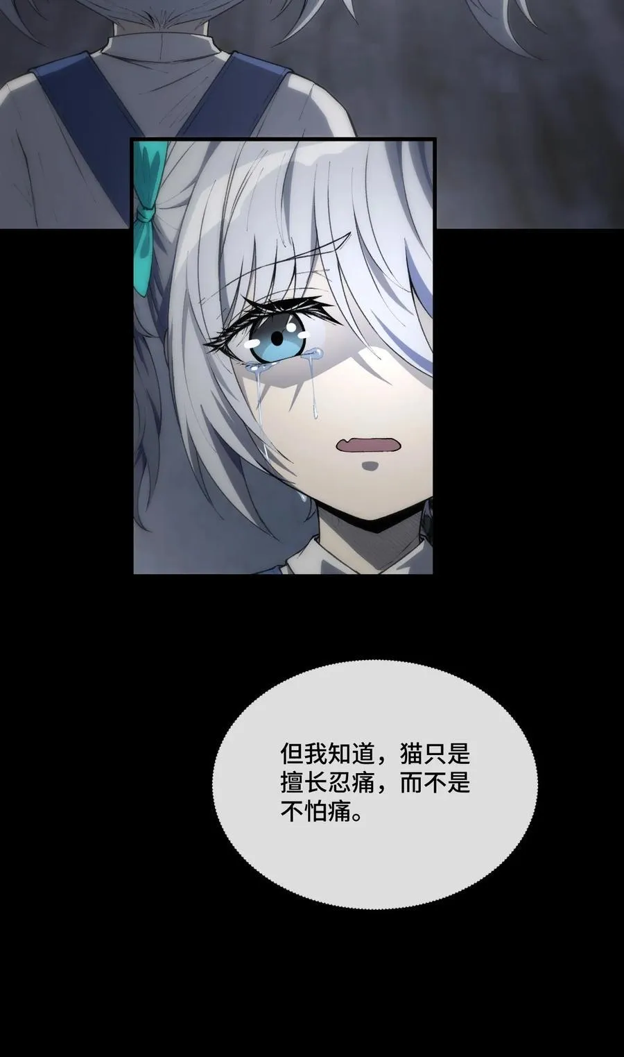 13 不愧是家里的第五只猫55
