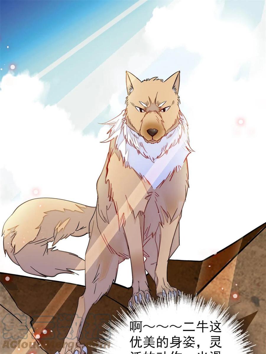 第227话 最强搜救犬二牛30