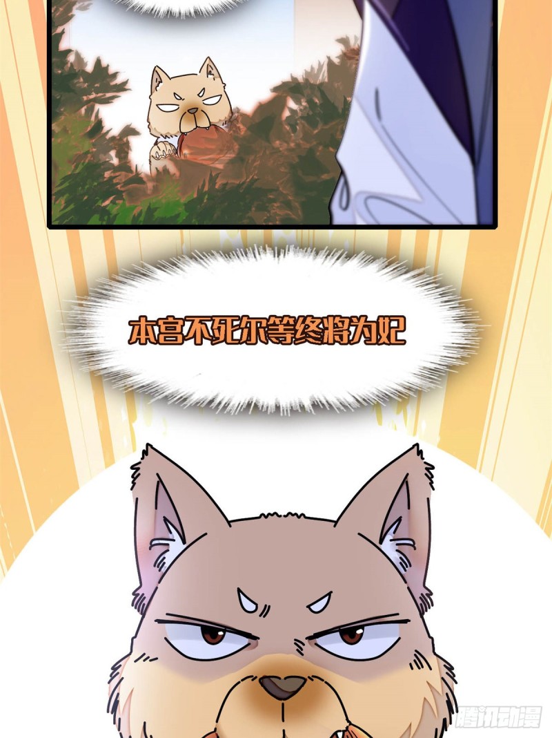 第189话 是太后身边的人！34