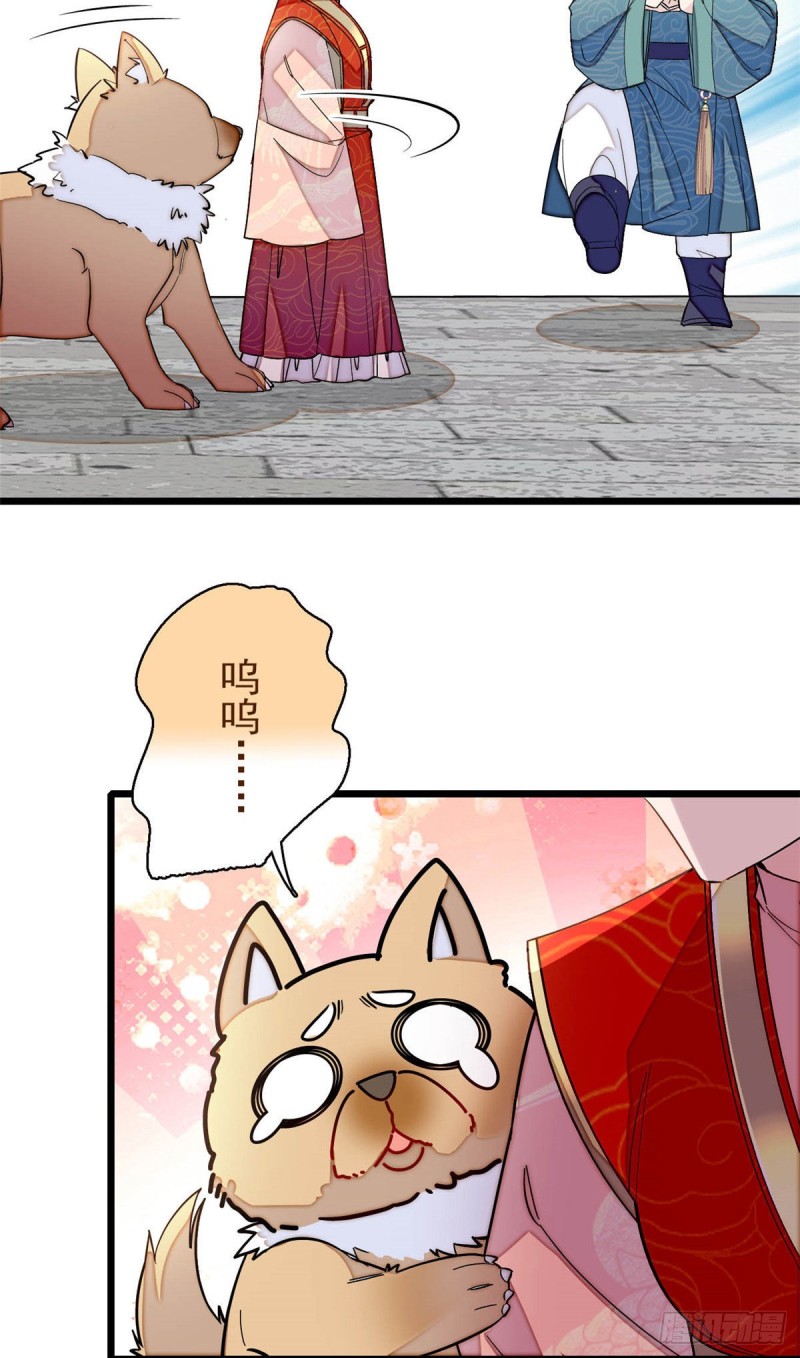 第140话 乖乖躺着，让我来5
