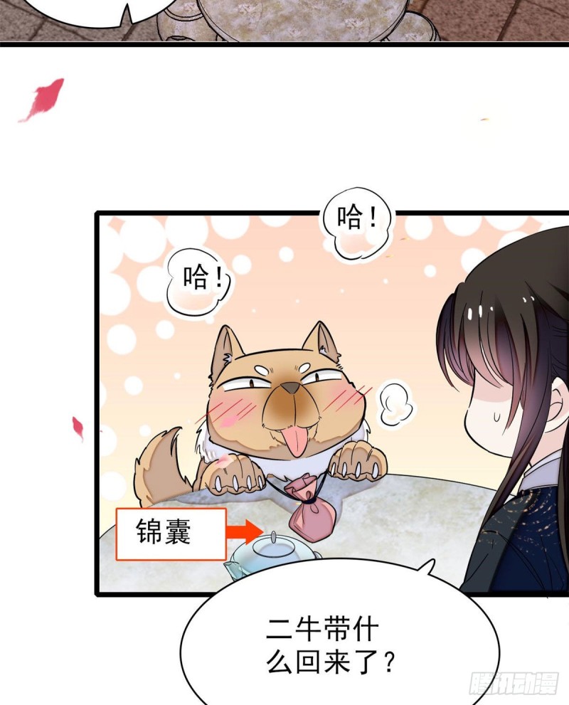 第76话公道来了，可她们不在了54