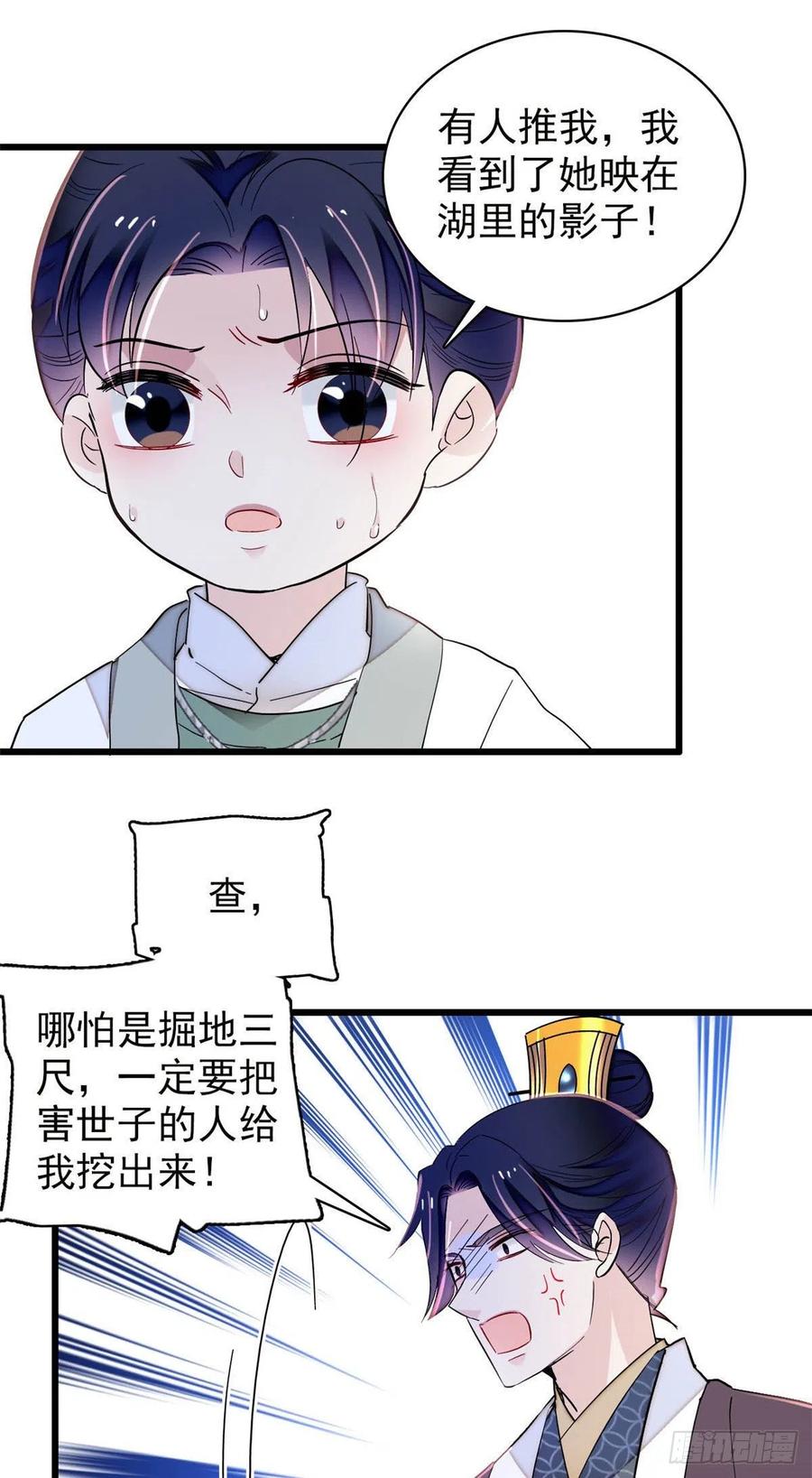 209 是谁害死了淳哥儿？19