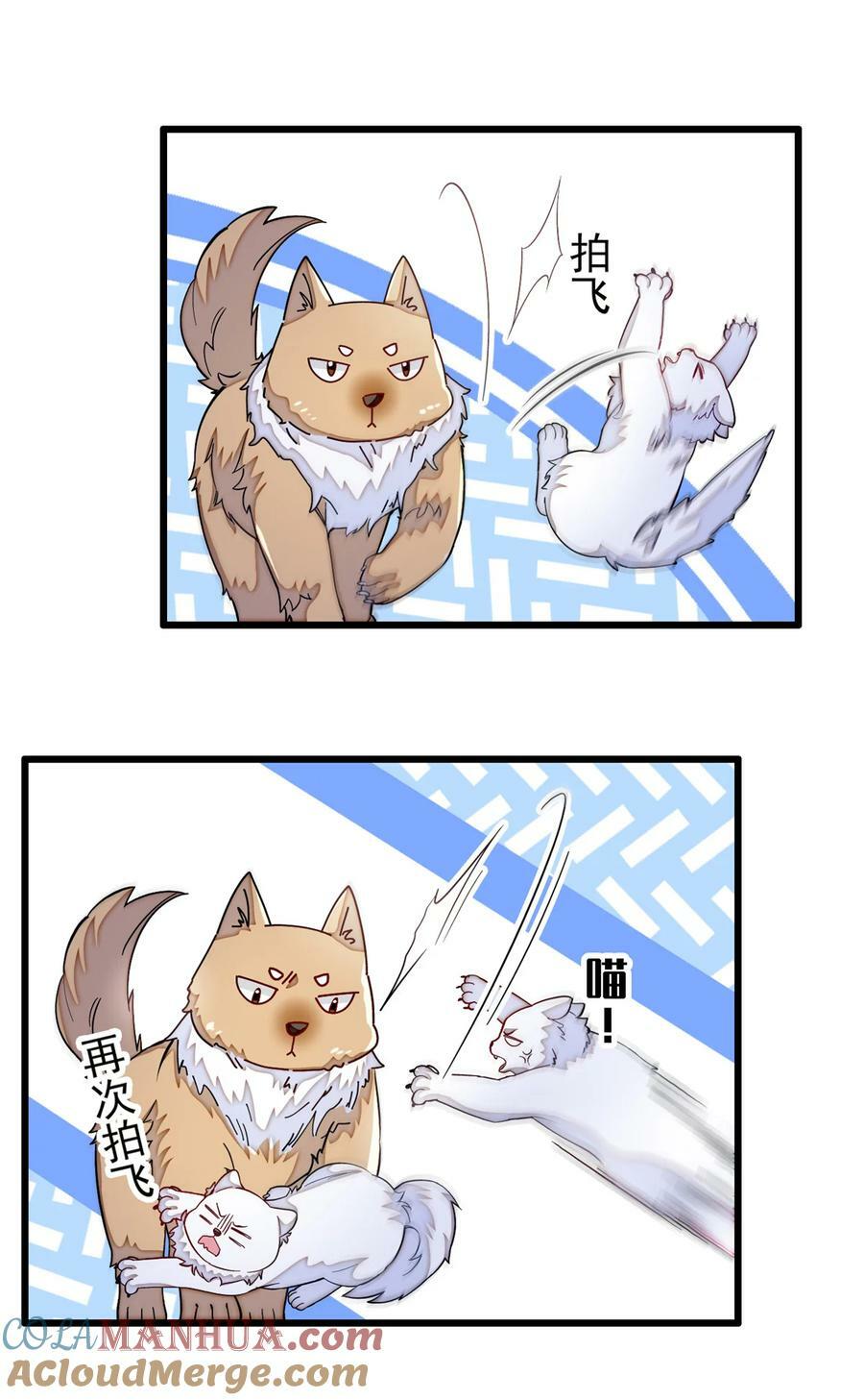 334 以为我什么都不知道吗？22