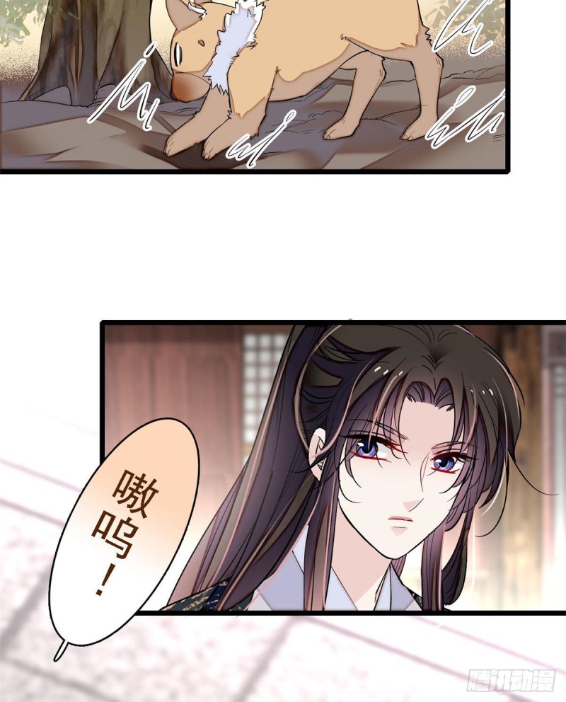 第85话 七皇子的状44