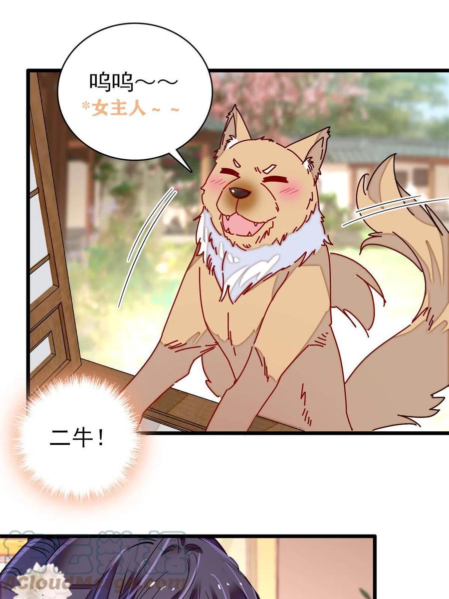 第231话 灵堂说媒18