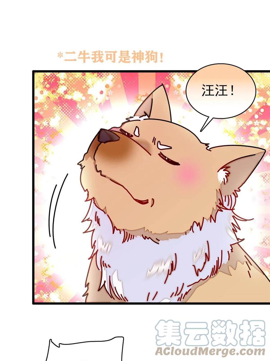 第227话 最强搜救犬二牛6